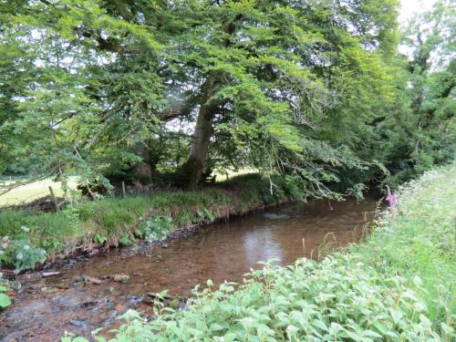 10.-Downstream-from-Court-Cottage-Bridge-4