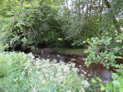 10.-Downstream-from-Court-Cottage-Bridge-5