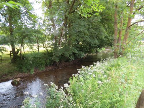 10.-Downstream-from-Court-Cottage-Bridge-6