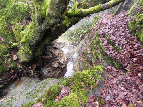 10.-Downstream-from-Dunkery-Gate-2