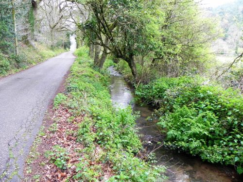 10.-Downstream-from-Dunster-Mill-Leat-Weir-2