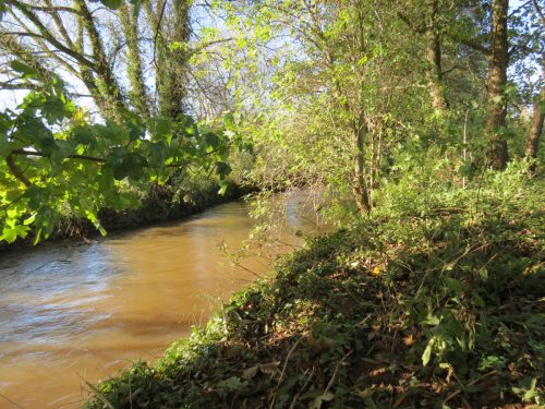 10.-Downstream-from-Grand-Western-Canal-Viaduct-2