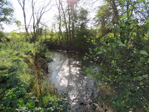 10.-Downstream-from-Grand-Western-Canal-Viaduct-3