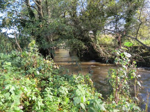 10.-Downstream-from-Grand-Western-Canal-Viaduct-5
