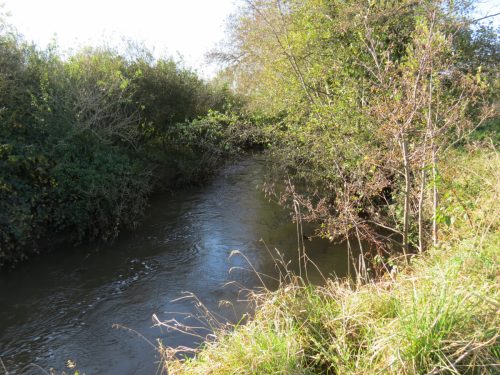 10.-Downstream-from-Grand-Western-Canal-Viaduct-7