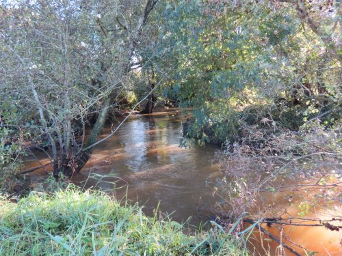 10.-Downstream-from-Grand-Western-Canal-Viaduct-8