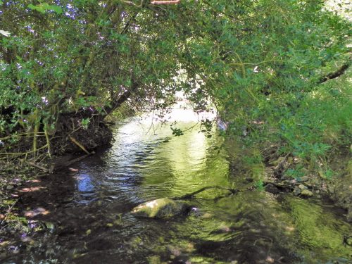 10.-Downstream-from-Huish-Bridge-2
