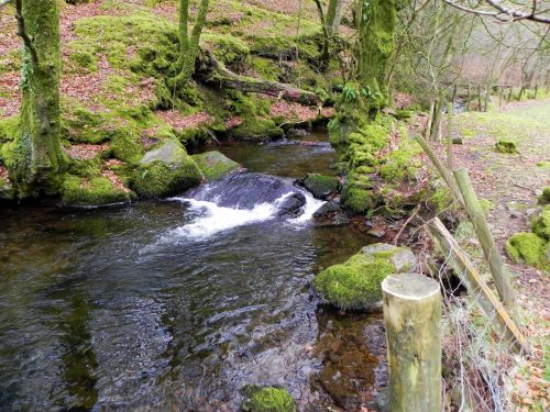 10.-Downstream-from-Nutscale-Mill-2