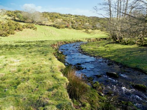 10.-Downstream-from-Roborogh-Castle-Ford-2
