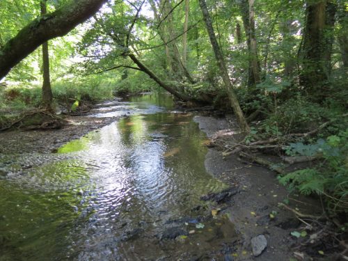 10.-Downstream-from-Stawley-Mill-weir