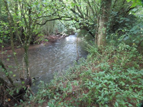 10.-Downstream-from-Tracebidge-2