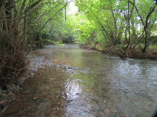 10.-Downstream-from-Tracebidge-3