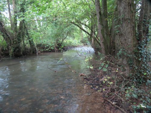 10.-Downstream-from-Tracebidge-4