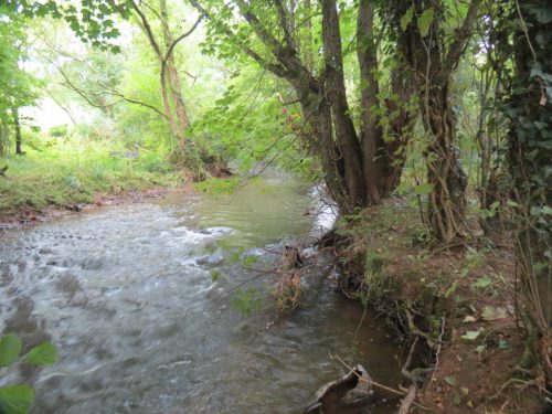 10.-Downstream-from-Tracebidge-5