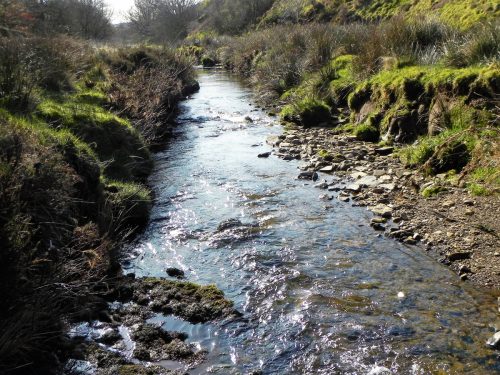 10.-Downstream-from-Upper-Willingford-Bridge-2