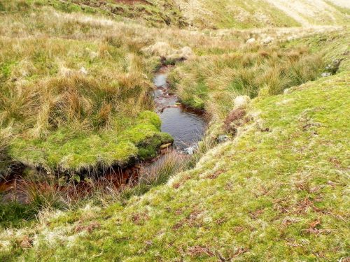 10.-Downstream-from-source-2