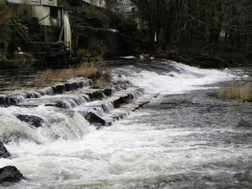 10.-Dulverton-Weir-6