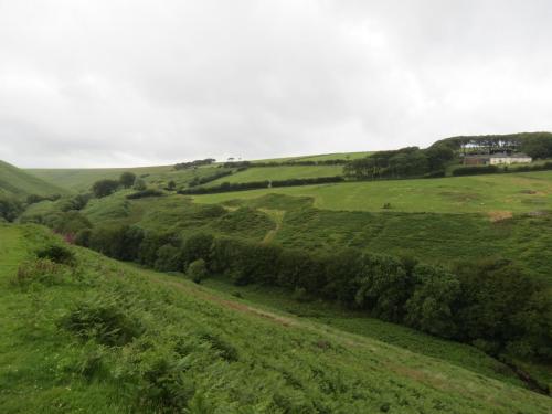 10.-Exe-Valley-from-Three-Combe-Hill-looking-upstream