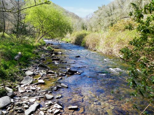10.-Flowing-below-Heddon-Mouth-Wood-2