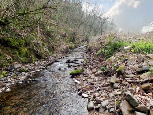 10.-Flowing-by-West-Wood-2