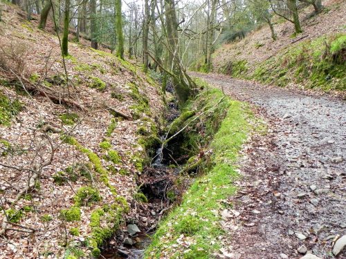 10.-Flowing-through-Luccombe-Plantation-2