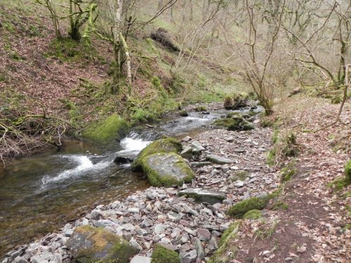 10.-Flowing-through-Wilmersham-Wood