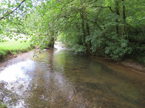 10.-Flowing-through-the-grounds-of-Manor-Mill