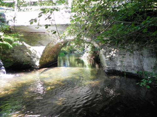 10.-Gardeners-Bridge-downstream-arch-2