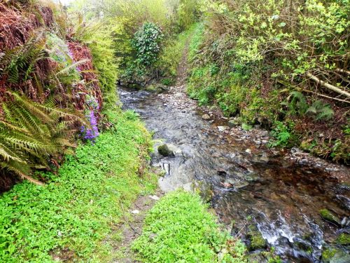 10.-Hawkcombe-Ford-2