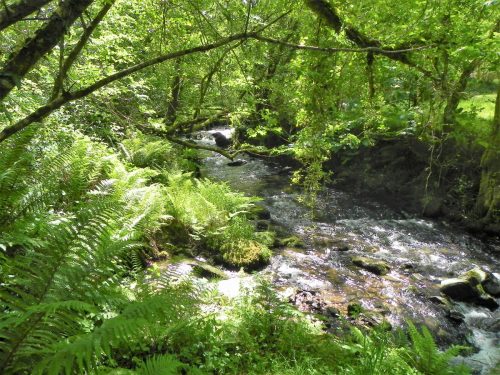 10.-Joins-West-Lyn-River-2
