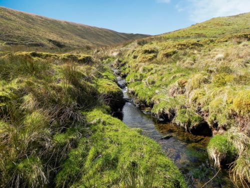 10.-Long-Holcombe-Water-flowing-to-Sherdon-Water-2