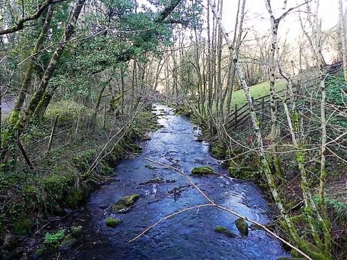 10.-Looking-downstream-from-ROW-Bridge-2