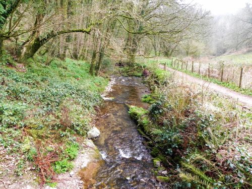 10.-Looking-downstream-from-Snowdrop-Valley-Footbridge-2