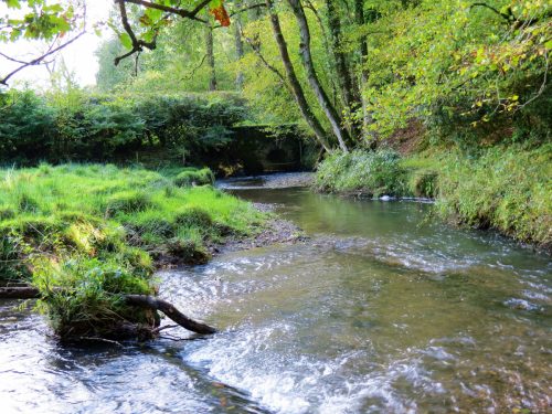 10.-Looking-downstream-to-Combe-Bridge-2