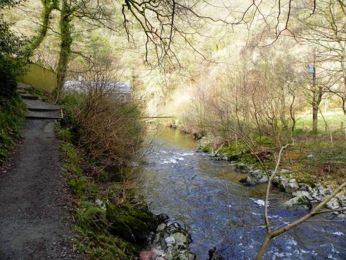 10.-Looking-downstream-to-Myrtleberry-Bridge-2