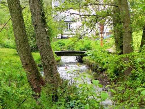 10.-Looking-downstream-to-Troutwells-Footbridge-3
