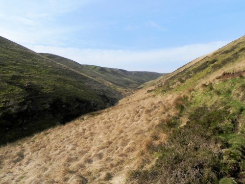 10.-Looking-up-Long-Chains-Combe-2