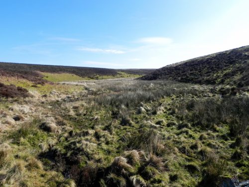 10.-Looking-up-Madacombe-from-Madacombe-Bridge-2