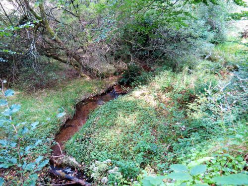 10.-Looking-upstream-from-Lower-Beverton-Bridge-2