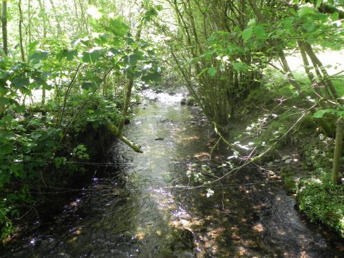10.-Looking-upstream-from-Radsbury-Lane-ford-footbridge
