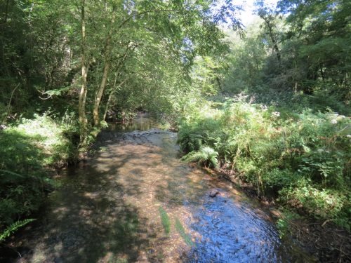10.-Looking-upstream-from-West-Deane-Way-Footbridge-A