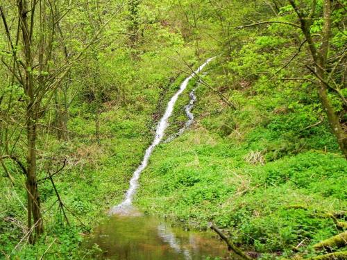 10.-Rivulet-joins-from-Cleeve-Copse-2