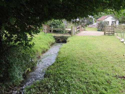 10.-Stawley-Mill-leat-downstream-from-weir