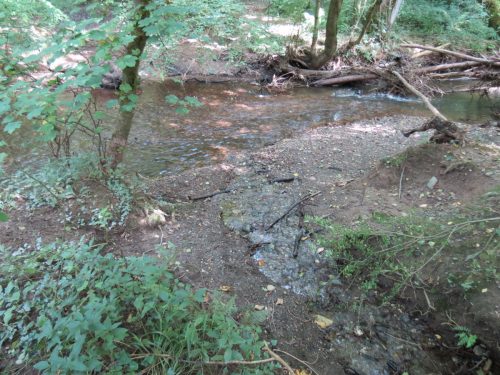 10.-Stream-joins-from-Pitt-Farm