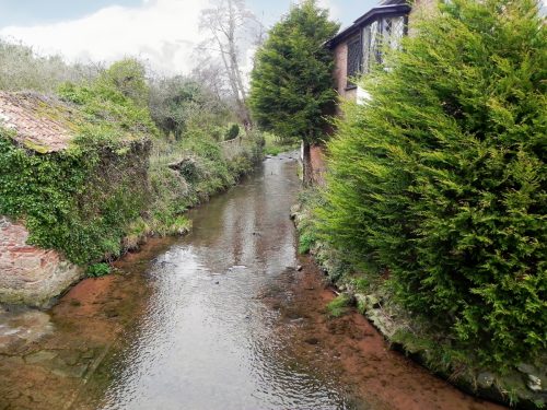 10.-Upstream-from-Allerford-Bridge-2