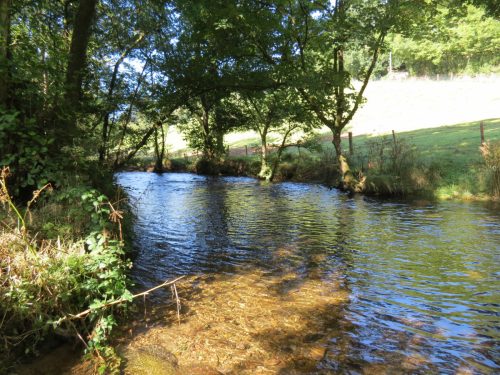 10.-Upstream-from-Larcombe-Foot-13