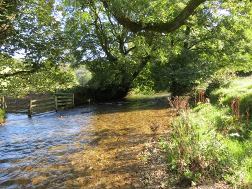 10.-Upstream-from-Larcombe-Foot-2