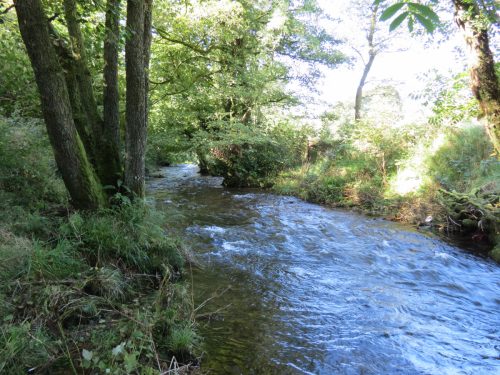 10.-Upstream-from-Larcombe-Foot-5