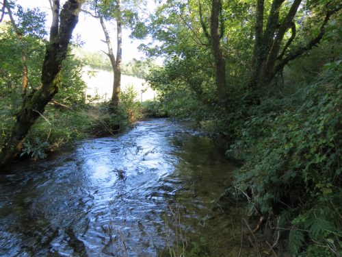 10.-Upstream-from-Larcombe-Foot-6