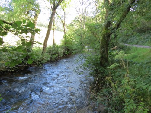 10.-Upstream-from-Larcombe-Foot-7